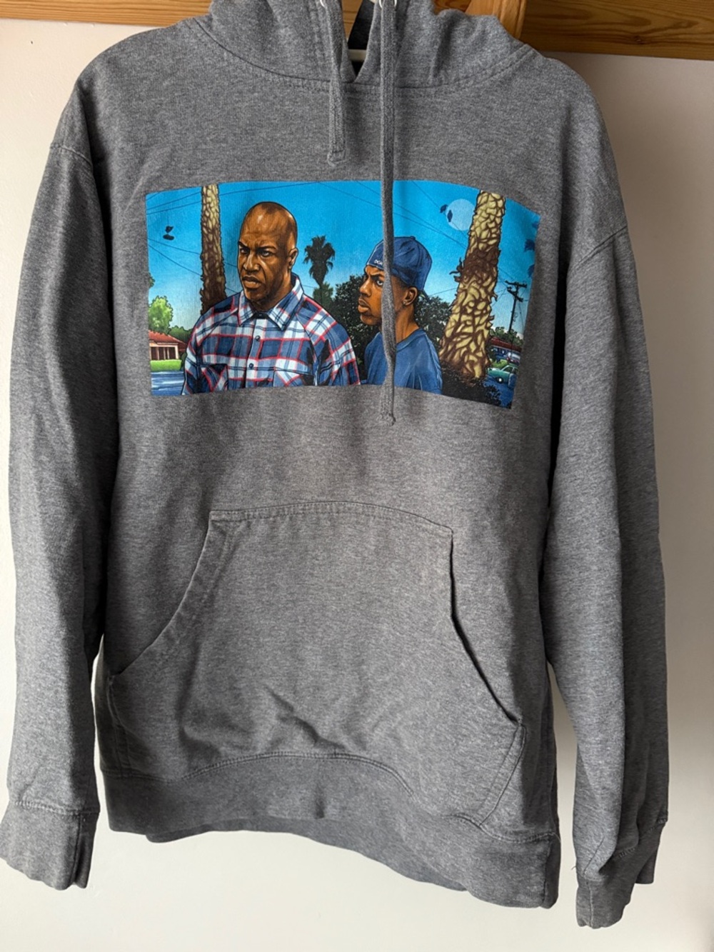 DGK Gray Pullover Hoodie with Colorful Street Scene Graphic